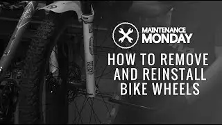 Maintenance Monday | How To Remove and Reinstall Bike Wheels
