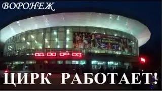 ВОРОНЕЖ. ЦИРК  РАБОТАЕТ!