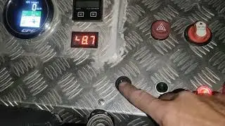 11 августа 2024 г.