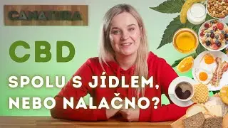 Je vhodné užívat CBD oleje spolu s jídlem?