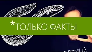 Русский Вайнер и Электрический Угорь (Только Факты 18+)
