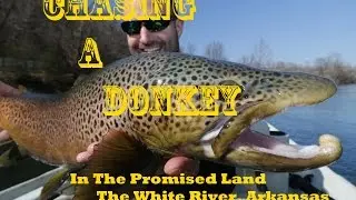 CHASING A DONKEY: Streamer Fishing The Promised Land (Trailer)