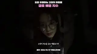 고양이 하트를 글로 배운 지수 #블랙핑크 #지수