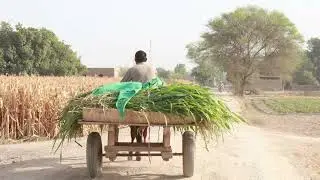 حضور صلی اللہ علیہ وسلم نے فرمایا لوگوں میں تمہاری عزت کیسے بڑھے گی