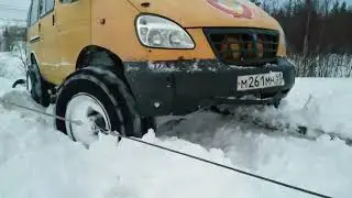 Лебедимся, газель