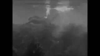 Fake Bullet Bounces Off Creature's Butt in 