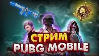 PUBG mobile стрим