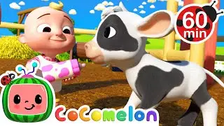 Ol' MacDonald (Baby Animal Version) | | Fun with Cody! | CoComelon Nursery Rhymes & Kids Songs