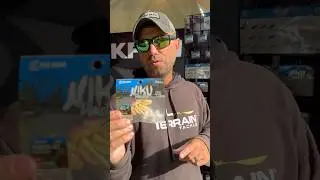 Crappie Fishing Plastic ALL YEAR!! Flutter Fry 🔥