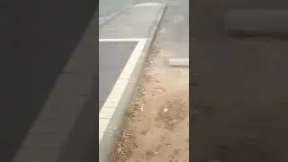 niv rappaapaparot