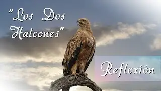 REFLEXIÓN DE VIDA 