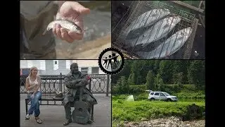 VLOG#1: ДАЧА/КУДА ЕХАТЬ?/ХАРИУС НА ВОЛГЕ/ТВЕРЬ/ПОЙМАЛ ТРУСЫ