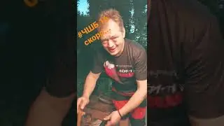Семеняки креветочные.  Выпуск # 16