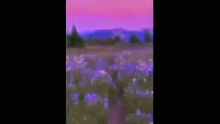 [free] playboi carti x adrian type beat - 
