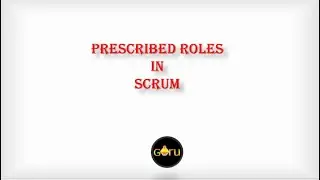 Prescribed Roles in SCRUM