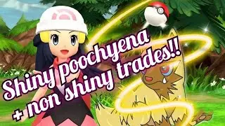 BRILLIANT DIAMOND SHINY POOCHYENA AND NON SHINY GIVE AWAY - #SHINYHUNTING