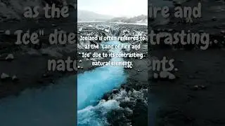 Did you know … Iceland has NO MOSQUITOS?? 😱 