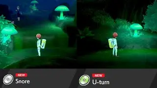 Snore & U-Turn TM Locations (Glimwood Tangle) - Pokemon Sword & Shield