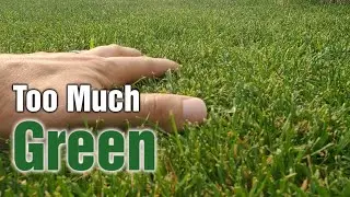Few People Know This About DARK Green Lawns & Iron