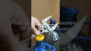 13 февраля 2024 г.