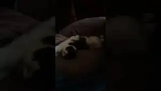 moja Lusia