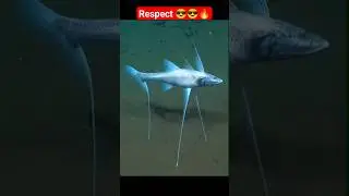 Respect 🧐💯||s60 #shorts