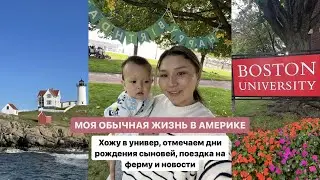 Как проходит жизнь студентки Бостонского Универа: день рождения детей, поездка на океан, ферму, в КЗ