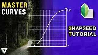 Curves Explained on Android/iOS | Snapseed Tone Curves | PiXinCreate