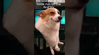 The best feeling for all programmers#python #coding #codinglife #programming#tutorial#csmemes #code
