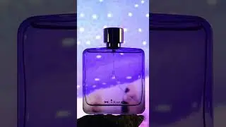 6 CIRO