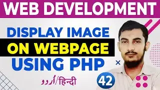 42 How to Display an Image in a Webpage Using PHP and MySQL Database