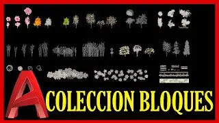 ❤️ Colección de Bloques