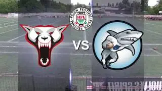2018 Fezen HFL Wolves vs Sharks 1 félidő