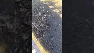 Нереально рыбное место! Просто бомба! Супер рыбалка