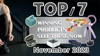 Wefulfil Top Winning Products