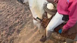 Fiestas taurinas comala Jalisco 2024