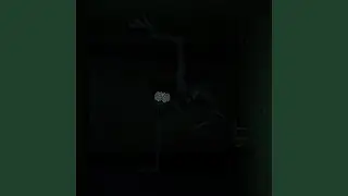LIE