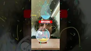 Fish saving game on TikTok