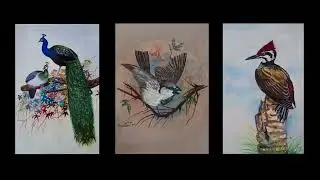 Ghulam Abbas Khaskheli Pakistan. Tamgha-e-Imtiaz.