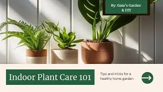 DO NOT DO THIS! Mistakes to Avoid When Caring for Your Houseplants: Pre-Work Edition