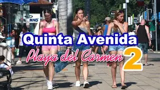 Quinta avenida | Calle 38 | PLAYA DEL CARMEN