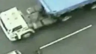 Собака спасает собаку_Dogsavedog