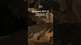 Псалом 28:7-11 современный перевод Библии #shorts