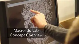 Macrolide Antibiotics and Drug Resistance
