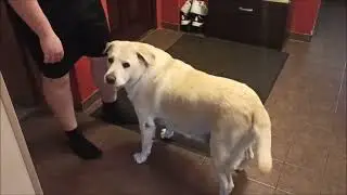Разве такое бывает?