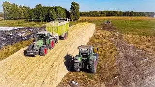 ☆ Kukurydza na Pryzmę☆ 4x Fendt Vario 916/716/714/312 Farmer☆ 2xCLAAS QUANTUM 6800☆CLAAS Jaguar 860☆