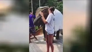 Ольга Бузова . Сюрприз.