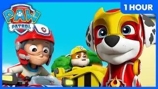 1 HOUR OF PAW PATROL FUN! | Best Moments, Quizzes, and MORE! | Cartoons for Kids