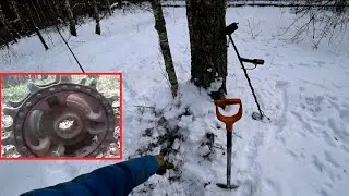 В лес с разведкой по бесснежной зиме. Ищу перспективные делянки с металлом