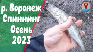 Рыбалка со спиннингом по р.Воронеж. Рыба есть.